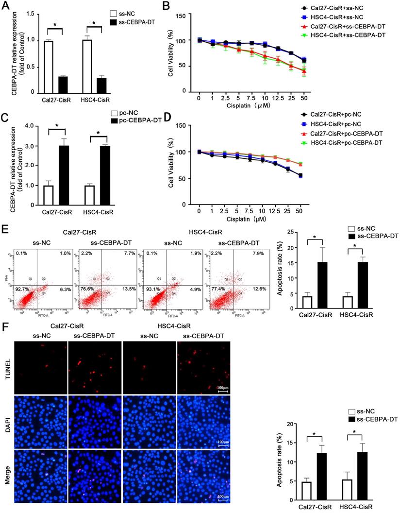 Int J Med Sci Image