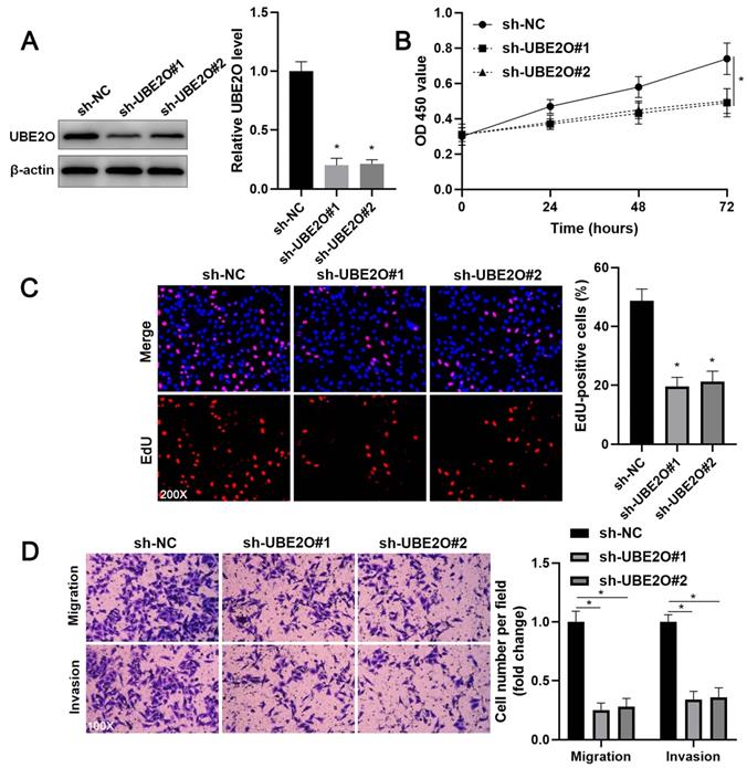 Int J Med Sci Image