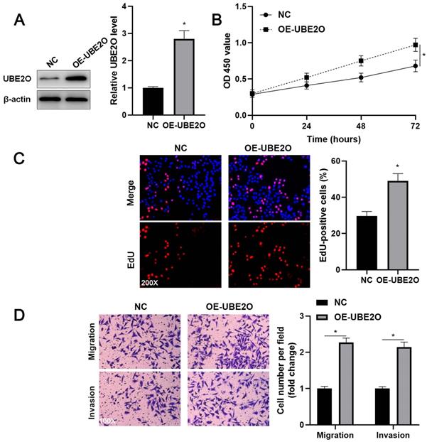 Int J Med Sci Image