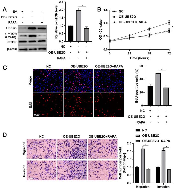 Int J Med Sci Image