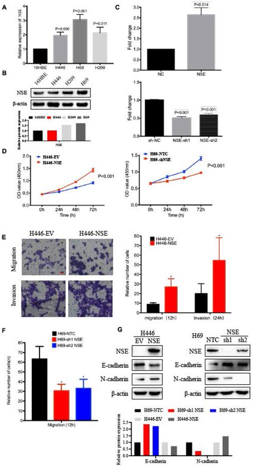 Int J Med Sci Image