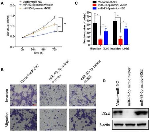 Int J Med Sci Image