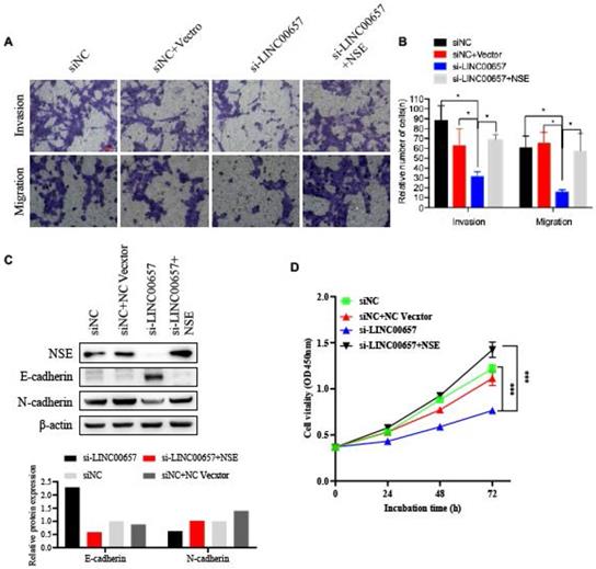 Int J Med Sci Image