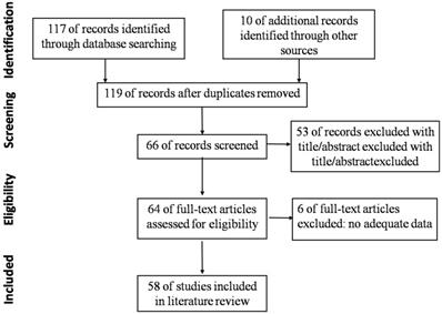 Int J Med Sci Image