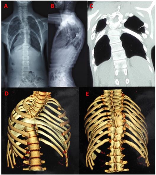 Int J Med Sci Image