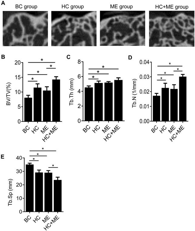 Int J Med Sci Image