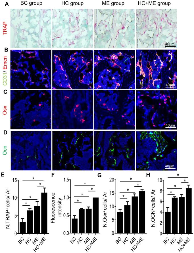 Int J Med Sci Image