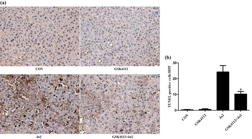 Int J Med Sci Image