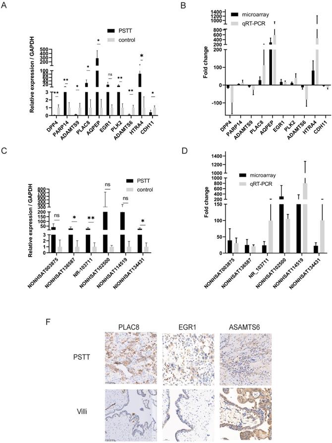 Int J Med Sci Image