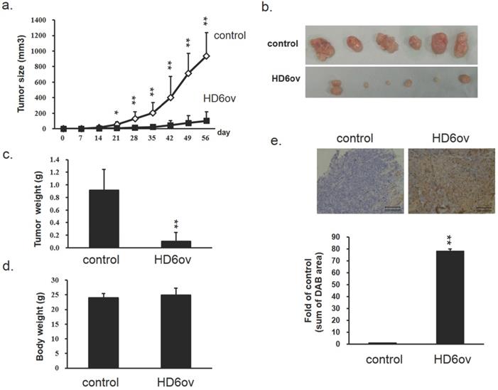 Int J Med Sci Image