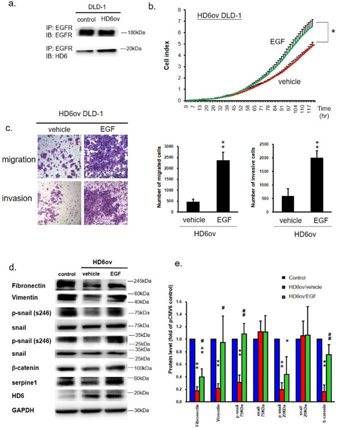 Int J Med Sci Image