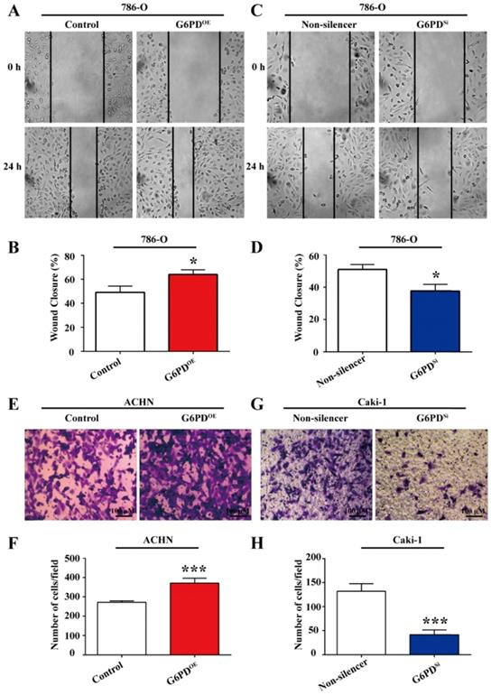 Int J Med Sci Image