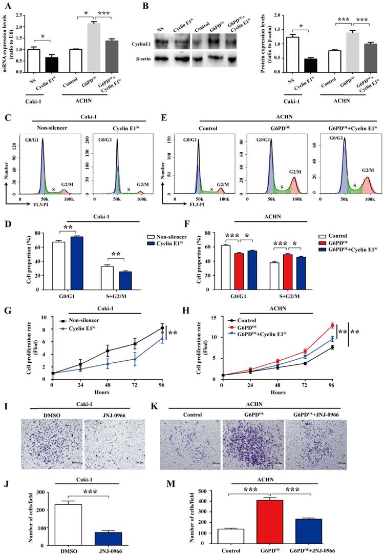 Int J Med Sci Image