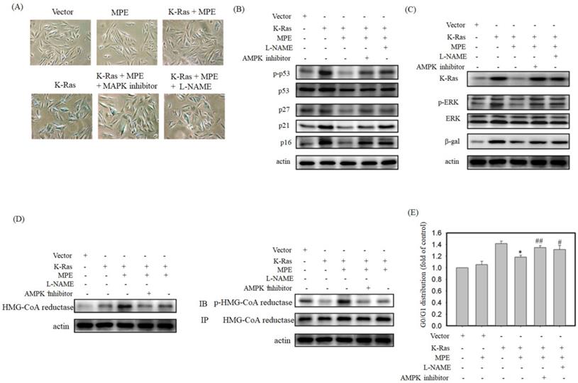 Int J Med Sci Image