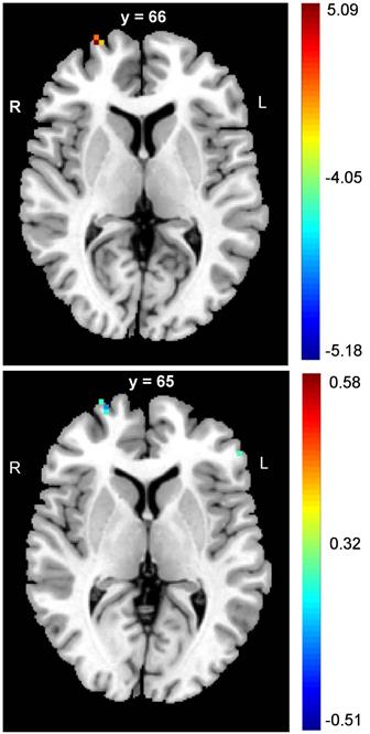 Int J Med Sci Image