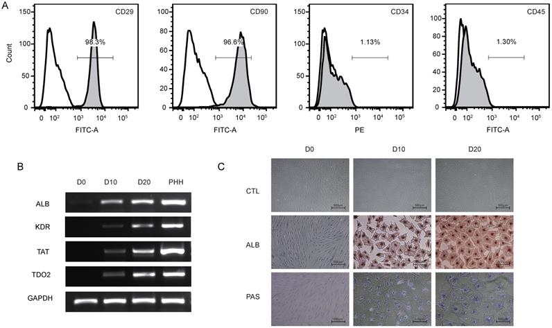 Int J Med Sci Image