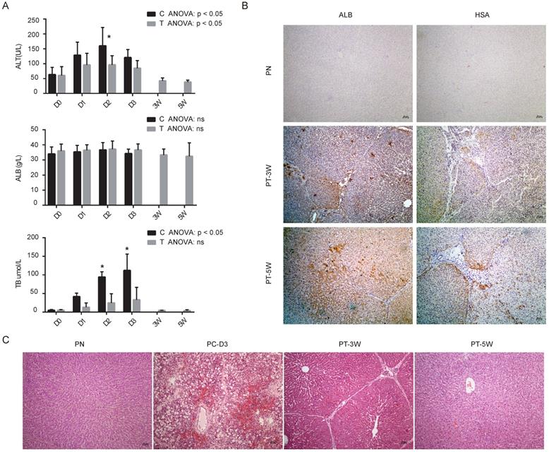 Int J Med Sci Image