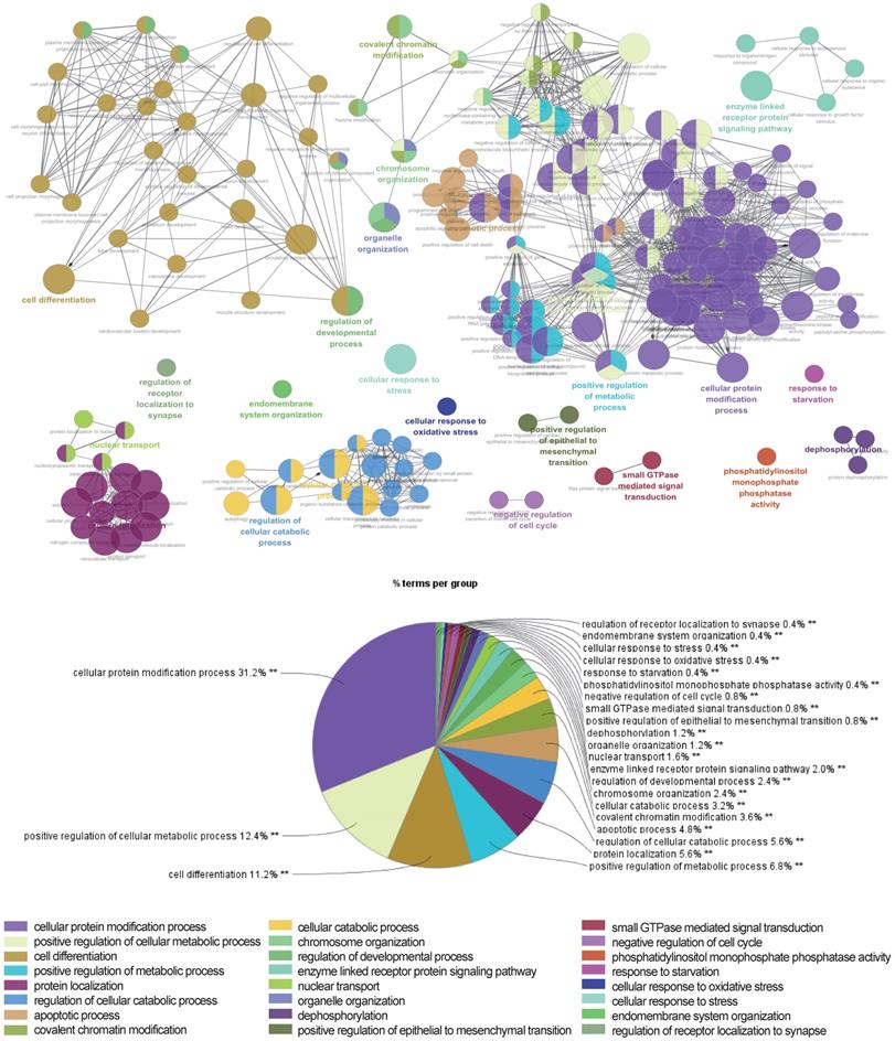 Int J Med Sci Image