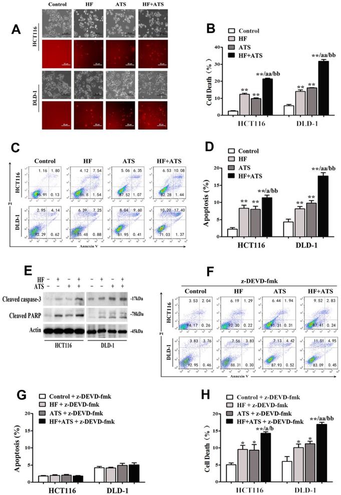 Int J Med Sci Image