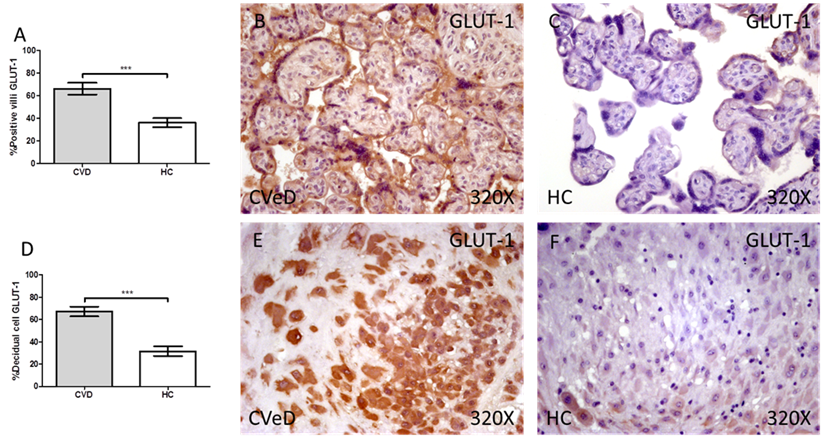 Int J Med Sci Image