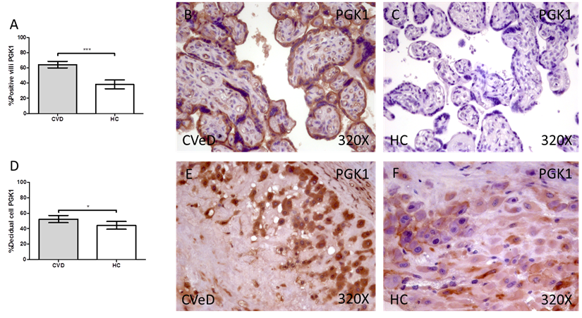 Int J Med Sci Image