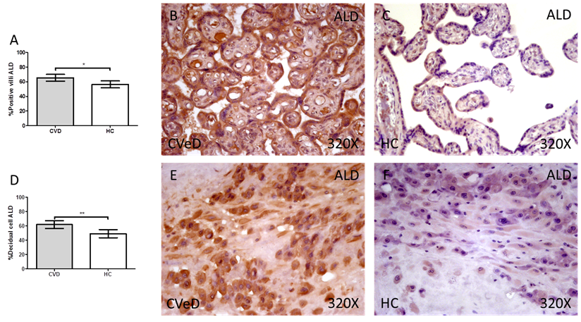 Int J Med Sci Image