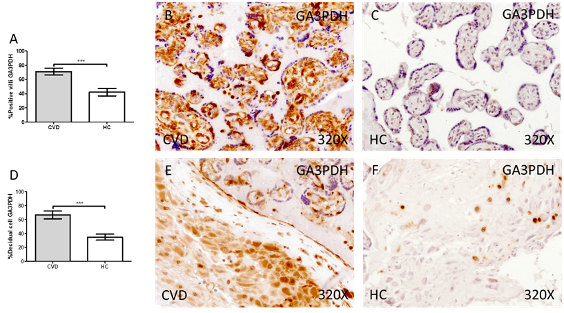 Int J Med Sci Image