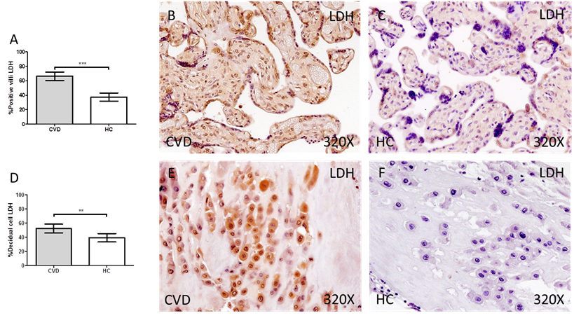 Int J Med Sci Image