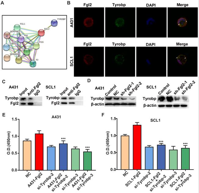 Int J Med Sci Image