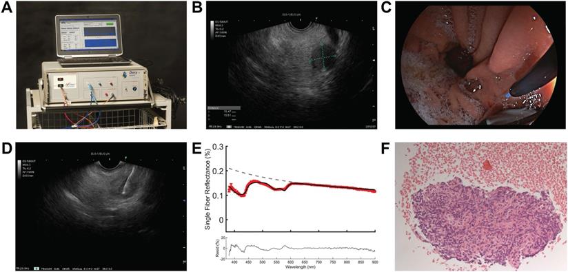 Int J Med Sci Image