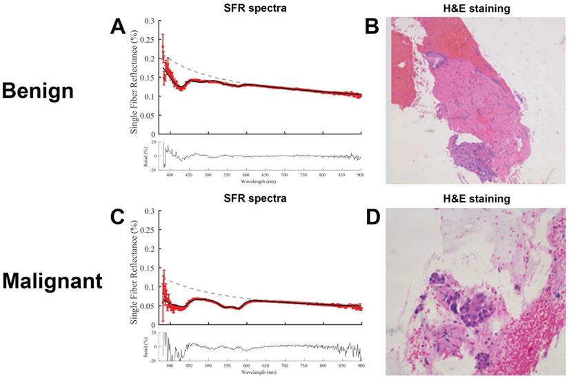 Int J Med Sci Image