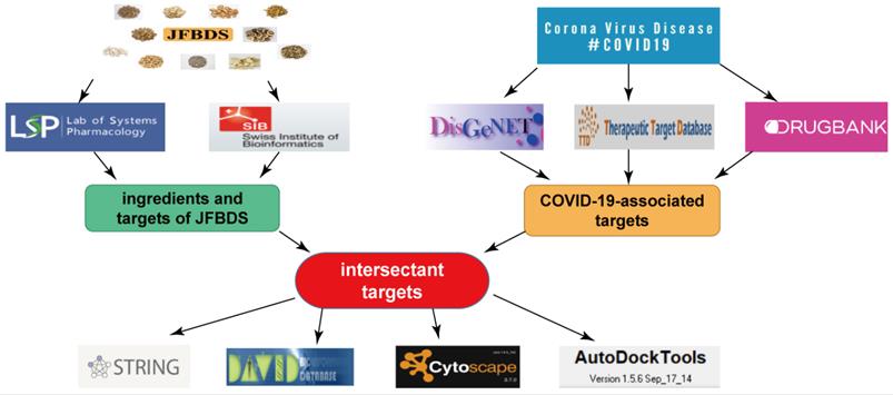 Int J Med Sci Image