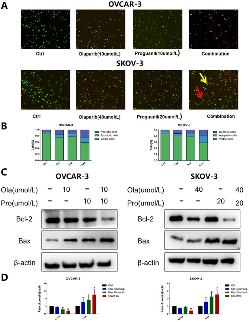 Int J Med Sci Image