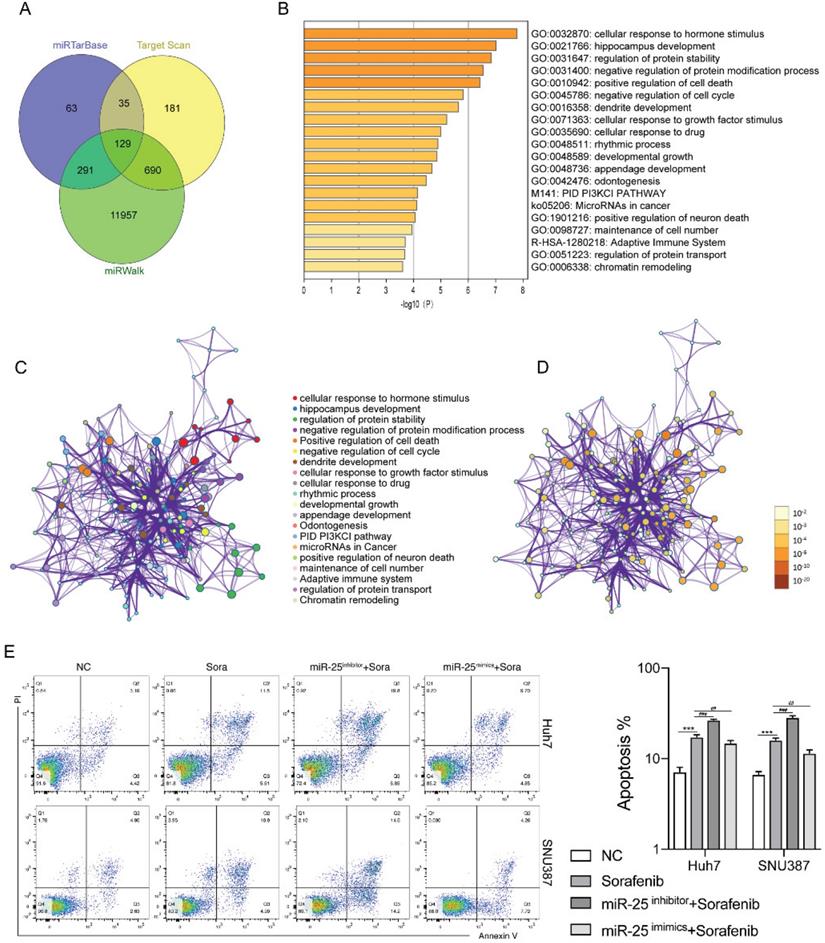 Int J Med Sci Image