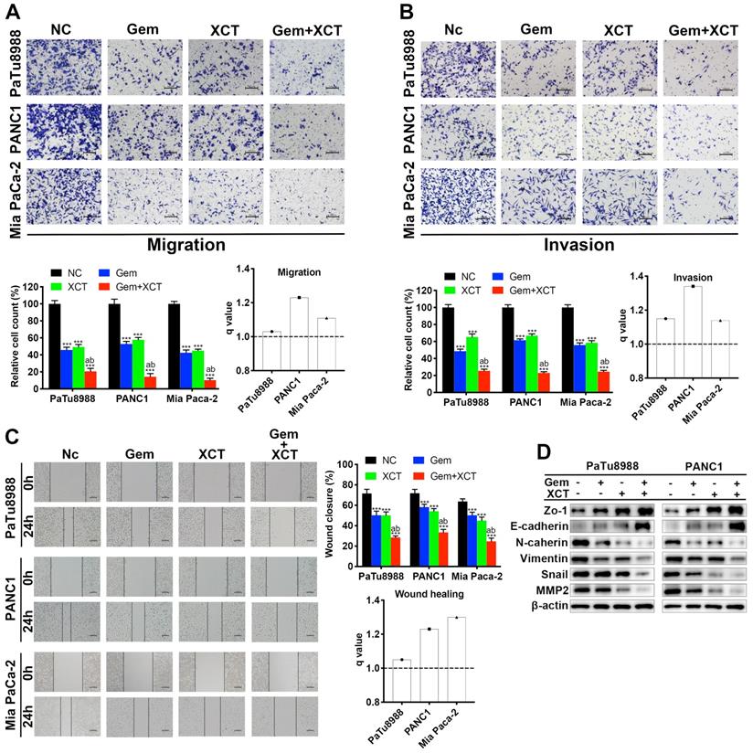 Int J Med Sci Image