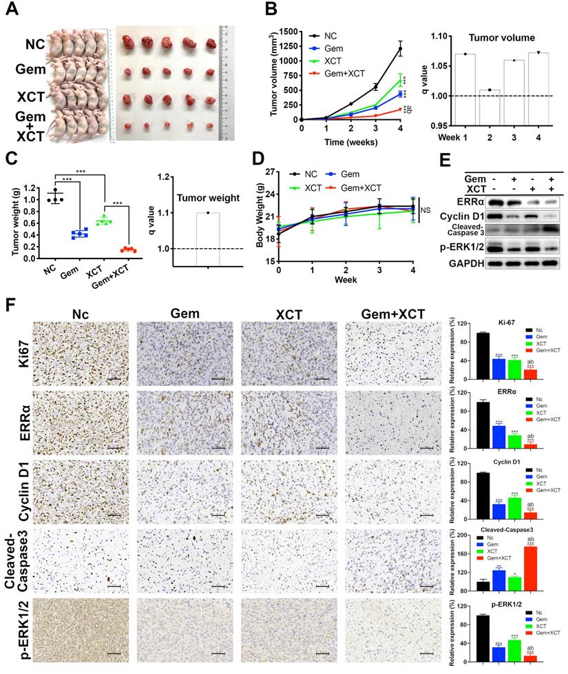 Int J Med Sci Image