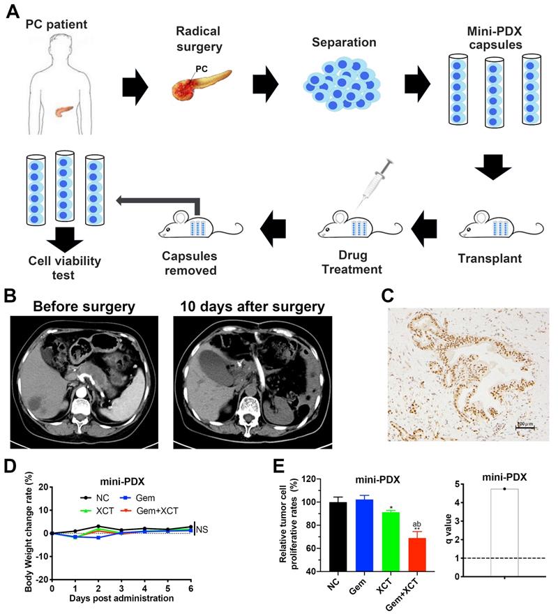 Int J Med Sci Image