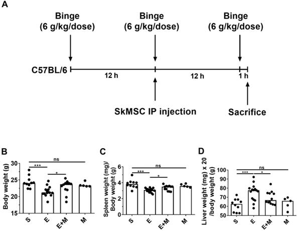 Int J Med Sci Image