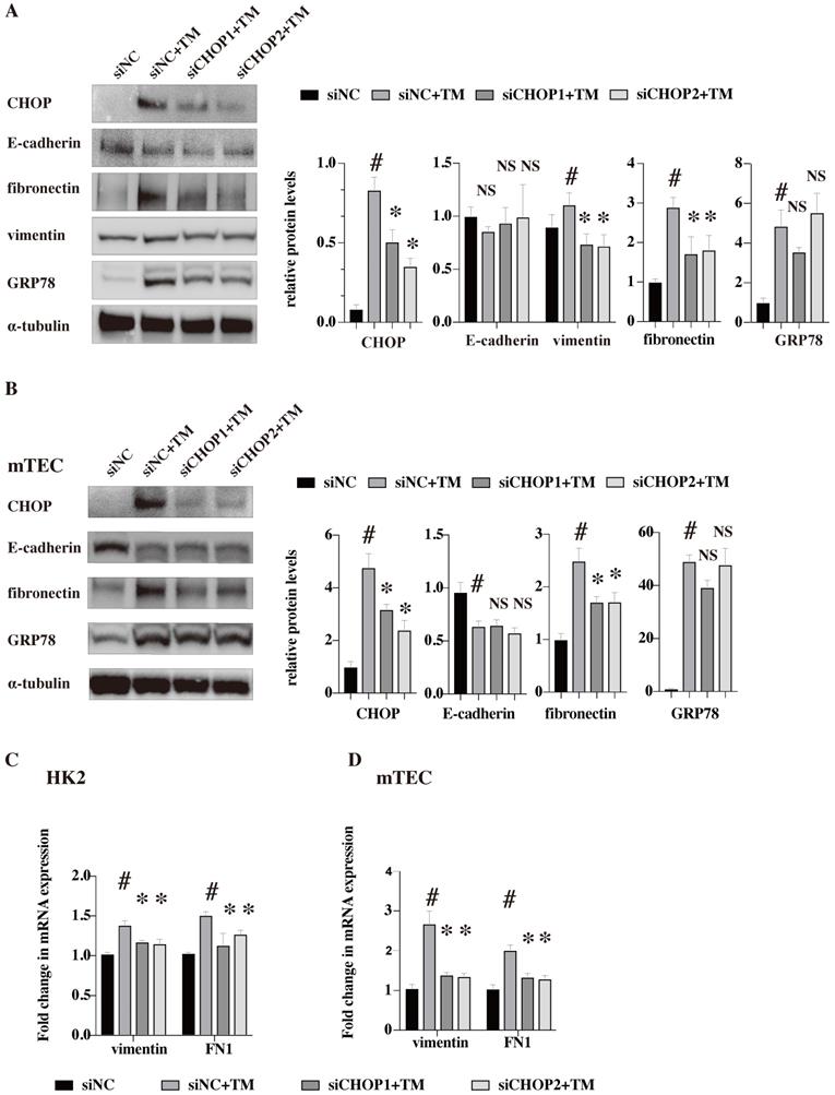 Int J Med Sci Image