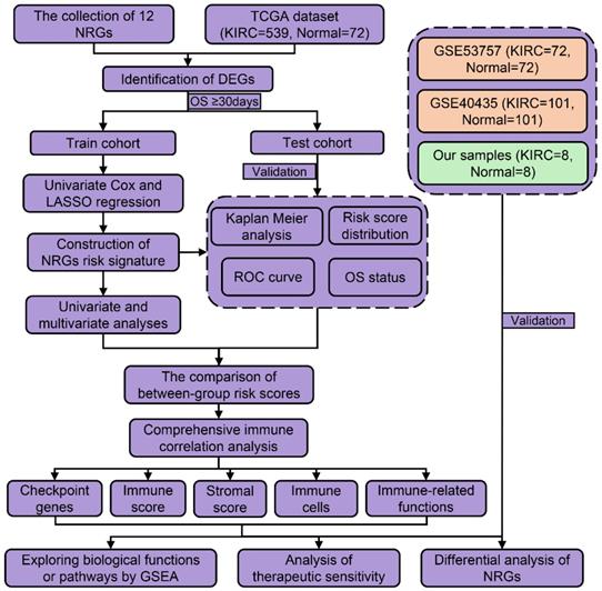 Int J Med Sci Image