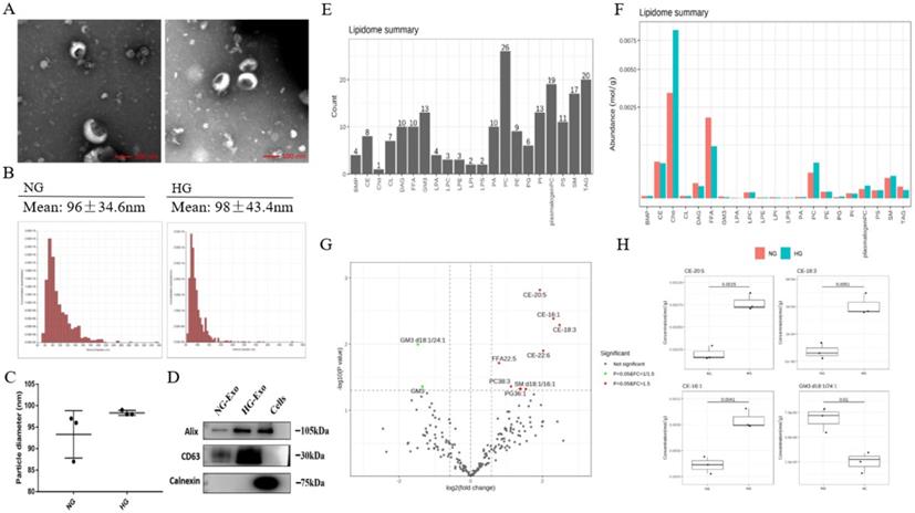 Int J Med Sci Image