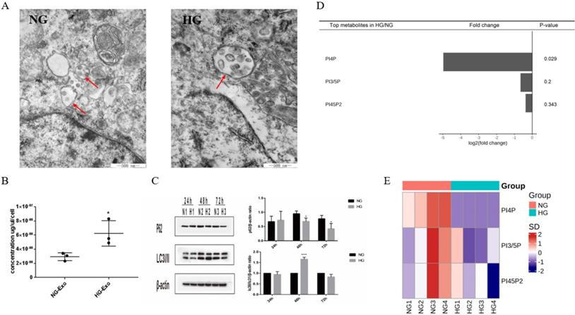 Int J Med Sci Image