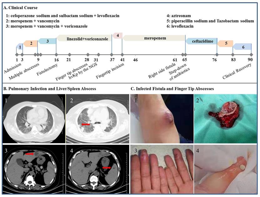 Int J Med Sci Image