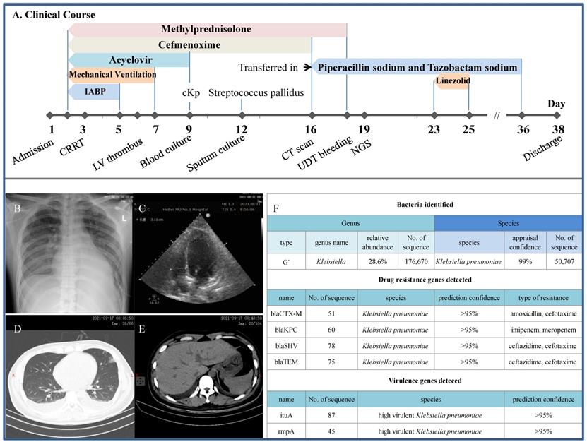 Int J Med Sci Image