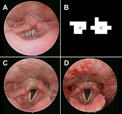 Int J Med Sci Image