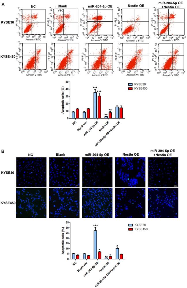 Int J Med Sci Image