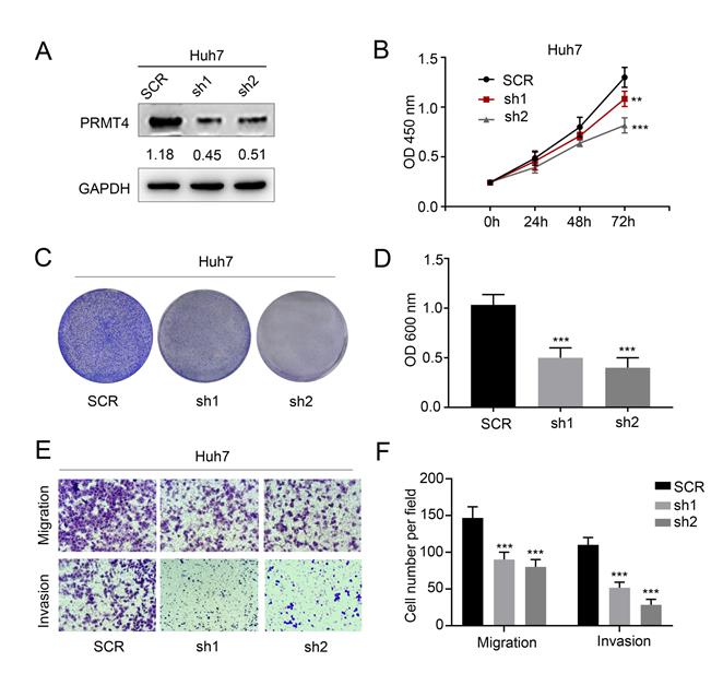 Int J Med Sci Image