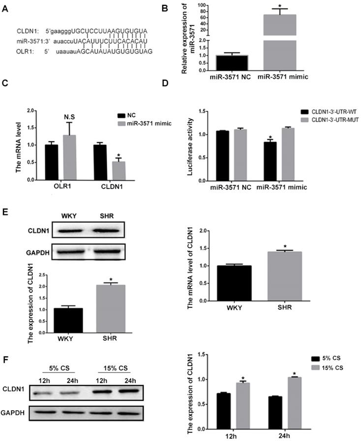 Int J Med Sci Image