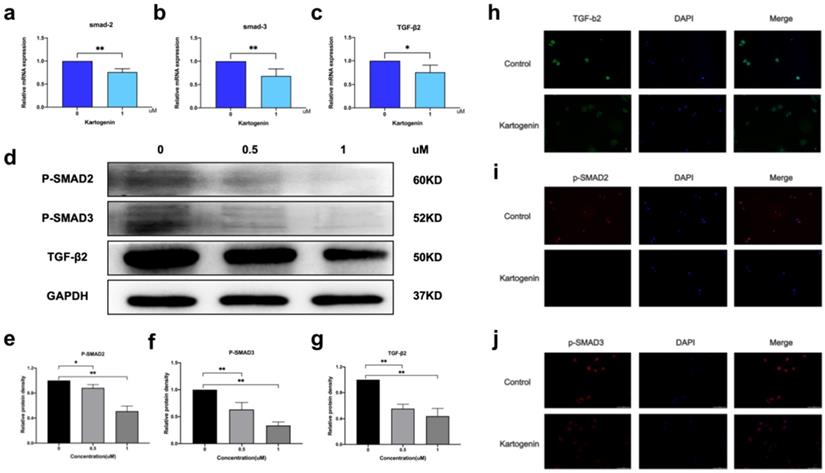 Int J Med Sci Image