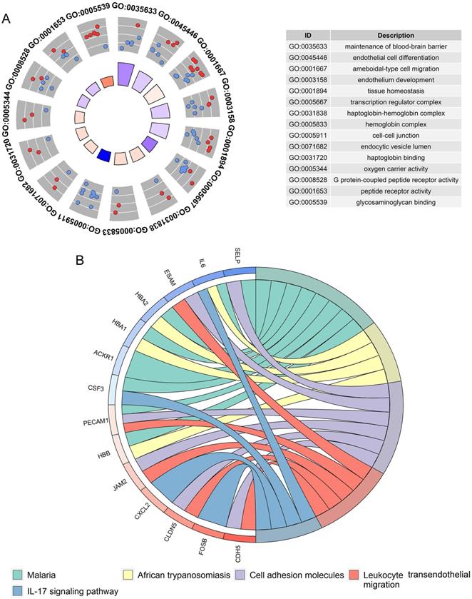 Int J Med Sci Image